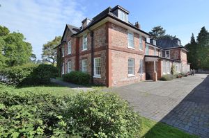 Rear of Builiding- click for photo gallery